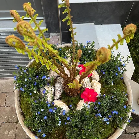 Trang ラシュタット