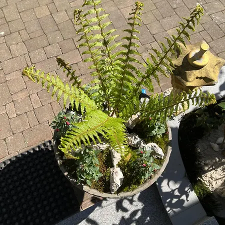 Trang 3* 拉施塔特